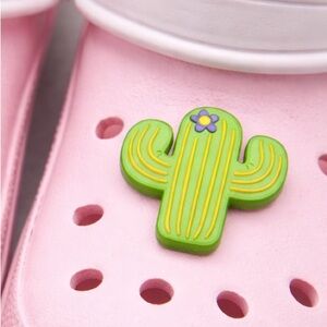 Cactus flower Jibbitz
